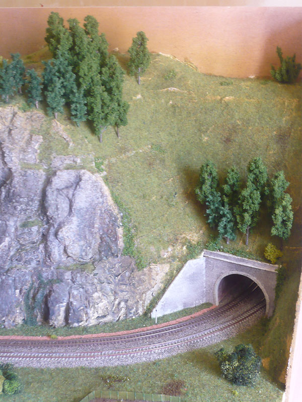 Champ d'Oiseau (Depuis le temps que ça me démangeait...) - Page 8 Tunnel DV